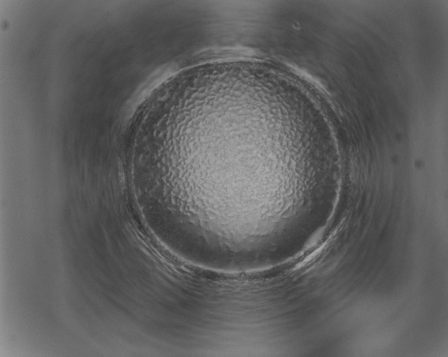 X0000069791407200605221103