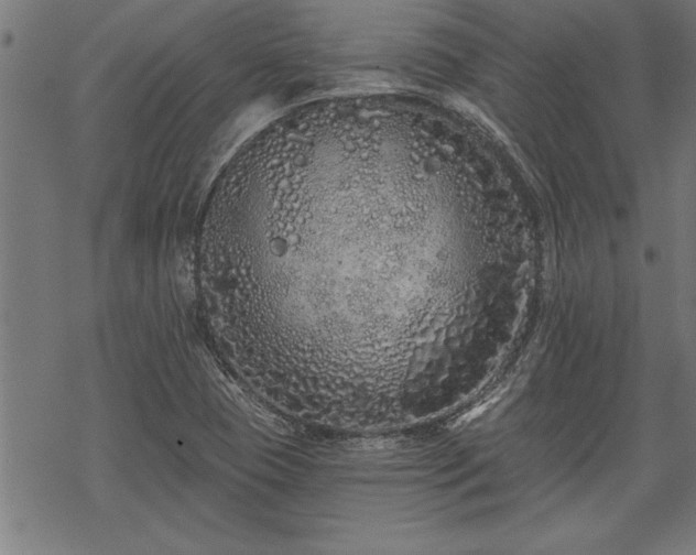 X0000069791409200605221103