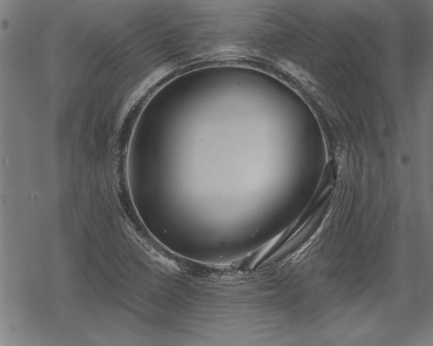 X0000069791410200605221103