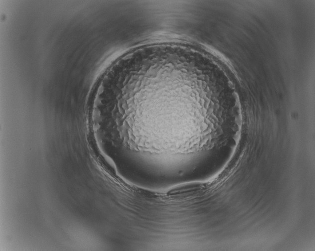 X0000069791415200605221103