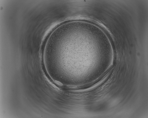 X0000069791416200605221103