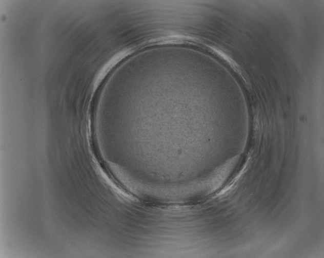 X0000069791418200605221103