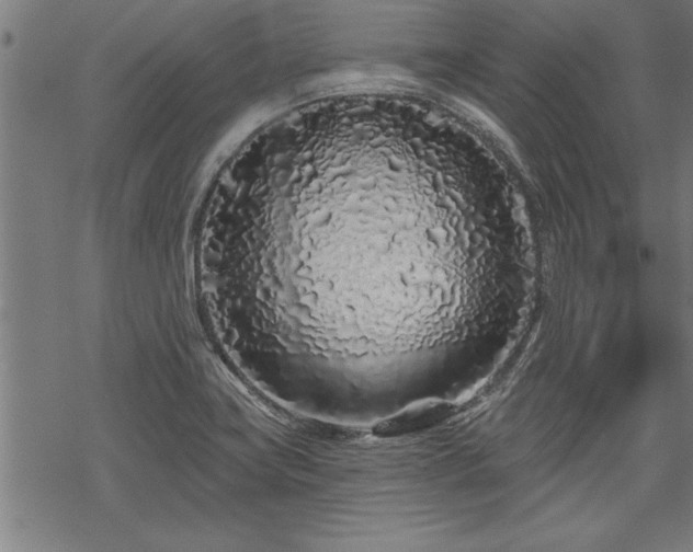 X0000069791419200605221103