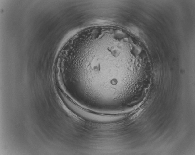 X0000069791421200605221103