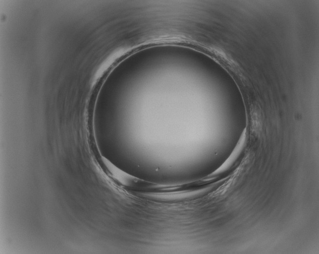 X0000069791422200605221103