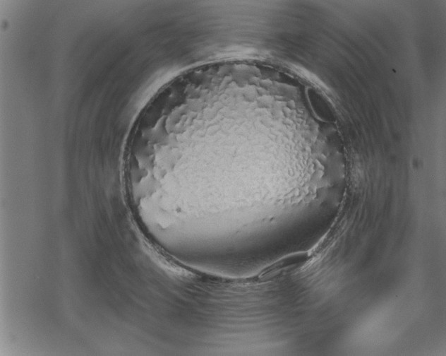 X0000069791423200605221103