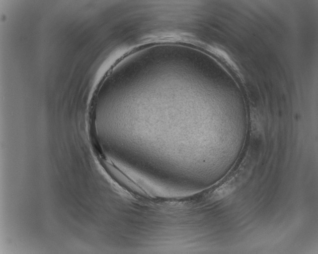 X0000069791424200605221103