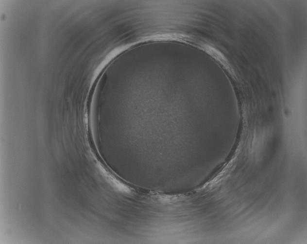 X0000069791428200605221103