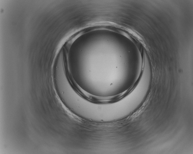 X0000069791430200605221103