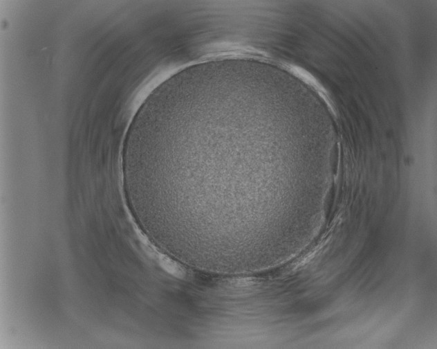 X0000069791431200605221103