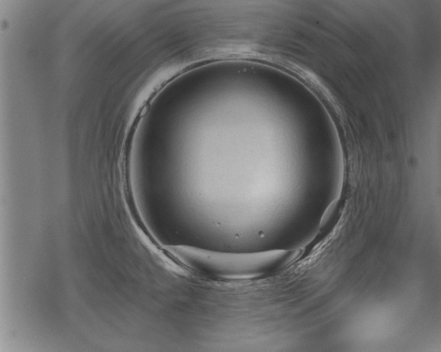 X0000069791432200605221103