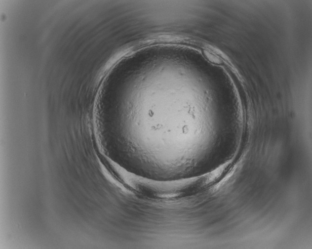 X0000069791433200605221103