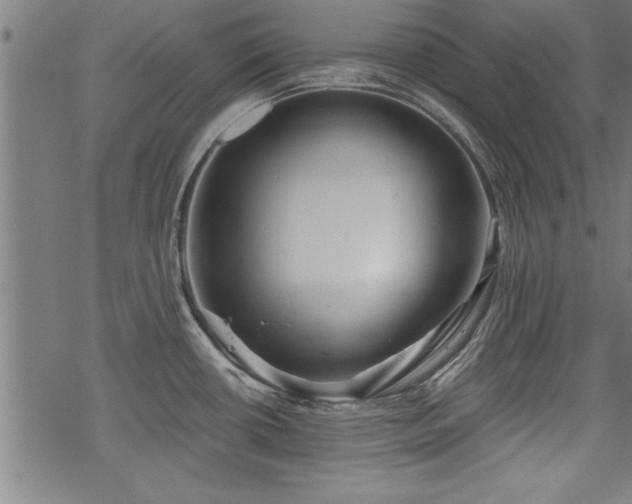 X0000069791434200605221103