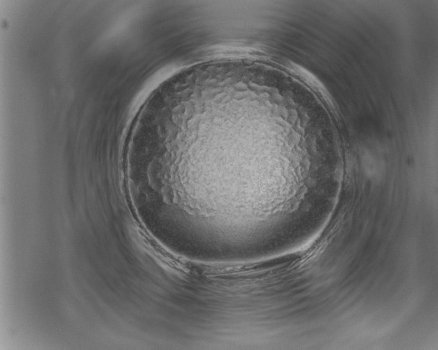 X0000069791435200605221103