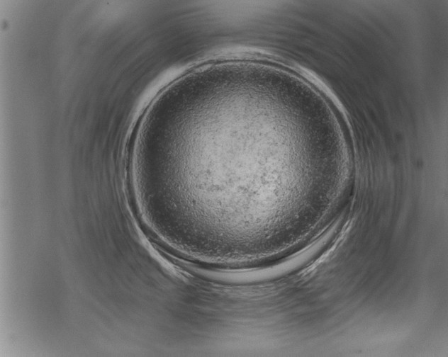 X0000069791437200605221103