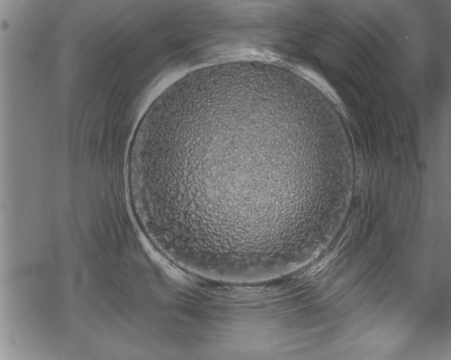 X0000069791439200605221103