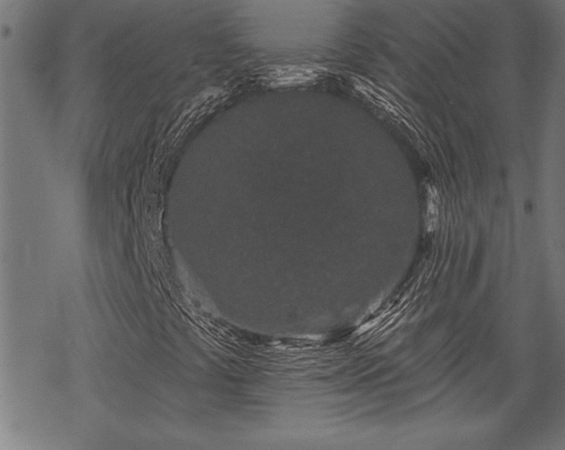 X0000069791441200605221103