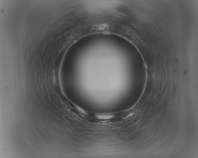 X0000069791442200605221103