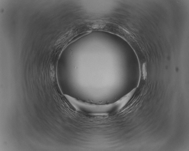 X0000069791443200605221103