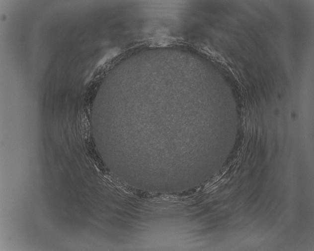 X0000069791446200605221103