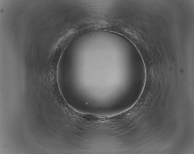 X0000069791447200605221103