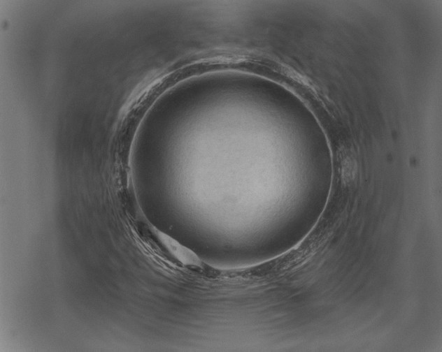 X0000069791448200605221103