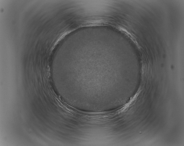 X0000069791449200605221103