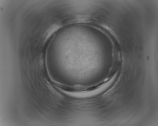 X0000069791450200605221103