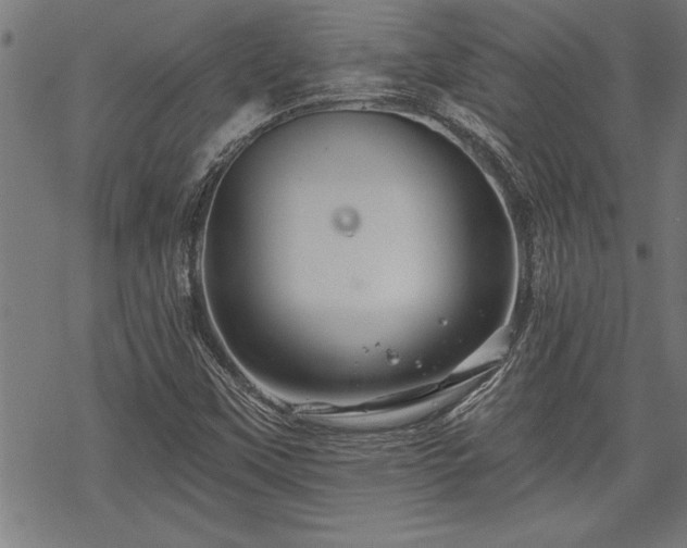 X0000069791451200605221103