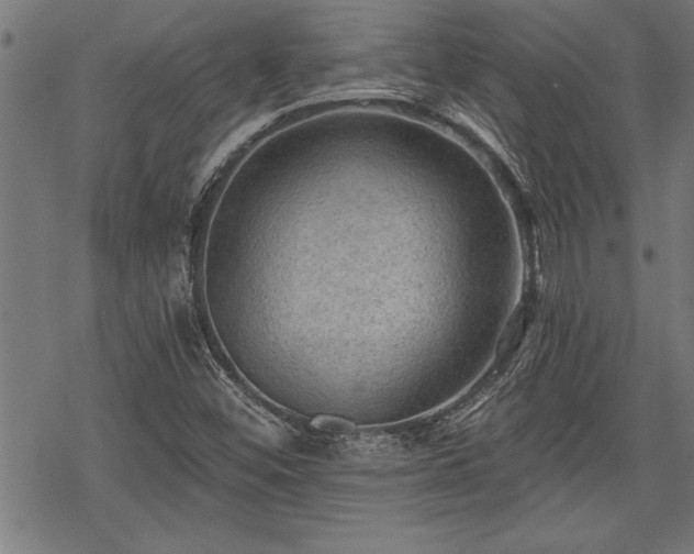 X0000069791452200605221103