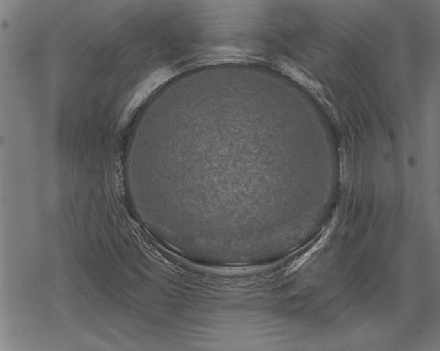 X0000069791453200605221102