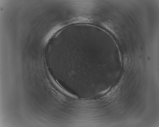 X0000069791455200605221102