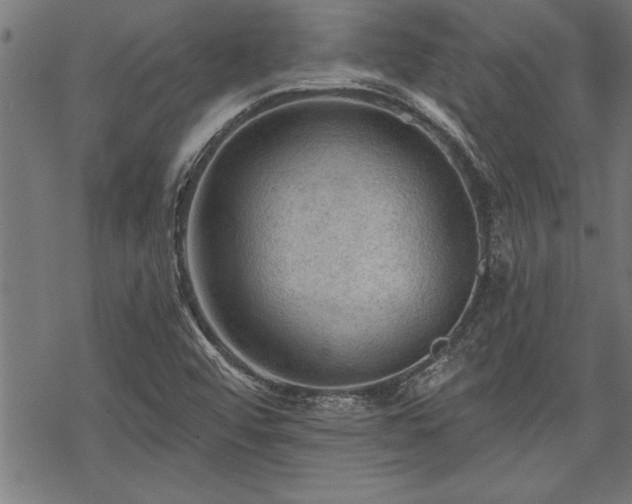 X0000069791456200605221102