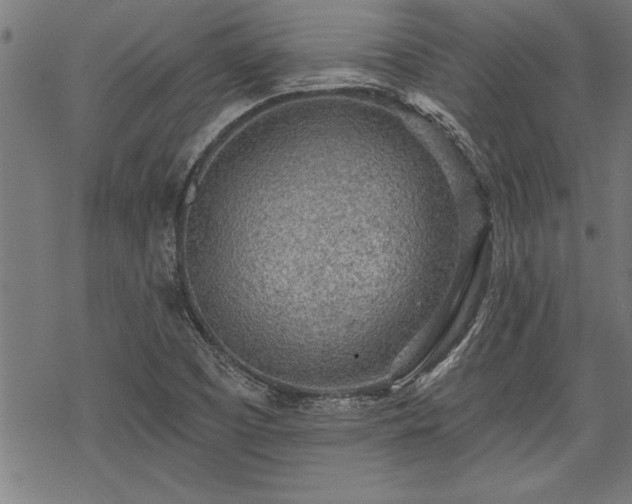 X0000069791457200605221102