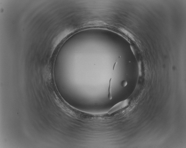 X0000069791458200605221102