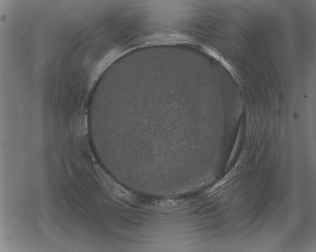 X0000069791459200605221102