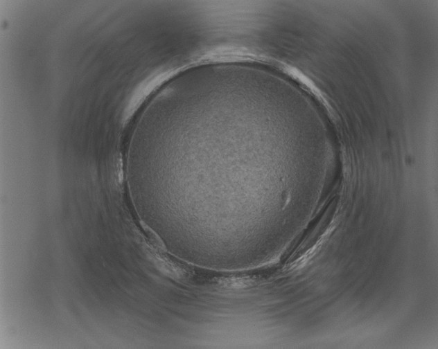 X0000069791461200605221102