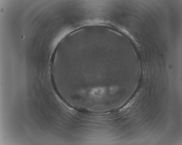 X0000069791463200605221102