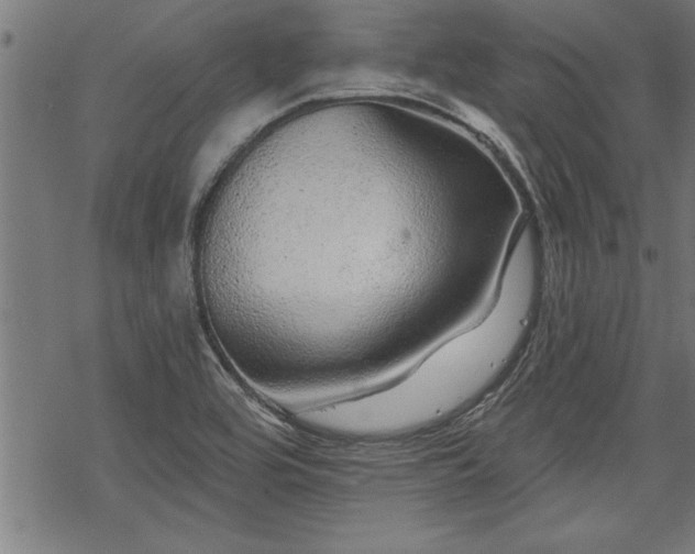 X0000069791464200605221102