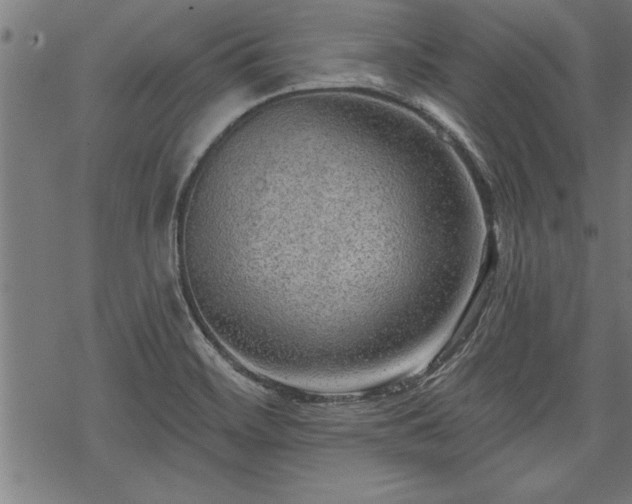 X0000069791468200605221102