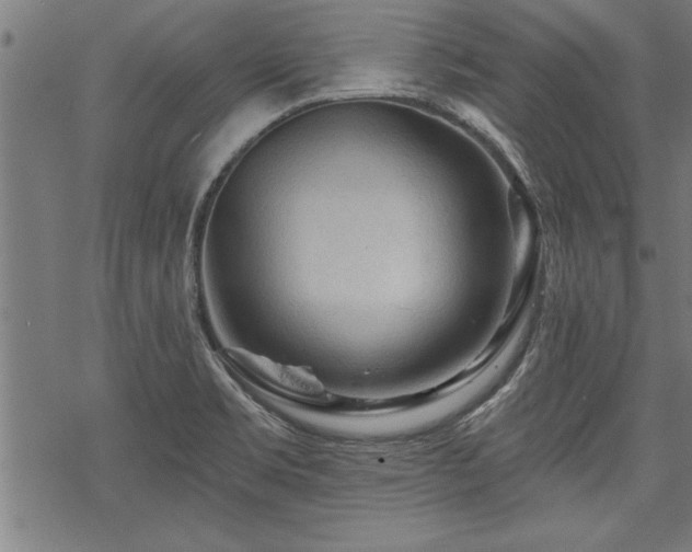 X0000069791469200605221102