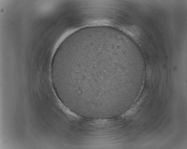 X0000069791470200605221102