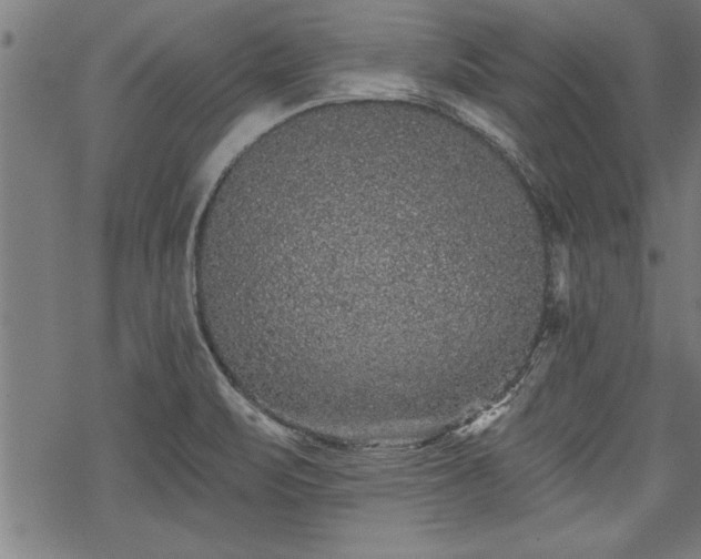 X0000069791471200605221102