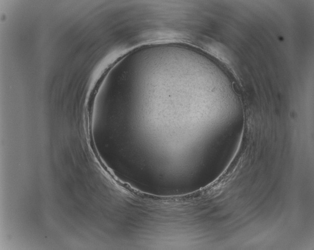 X0000069791472200605221102