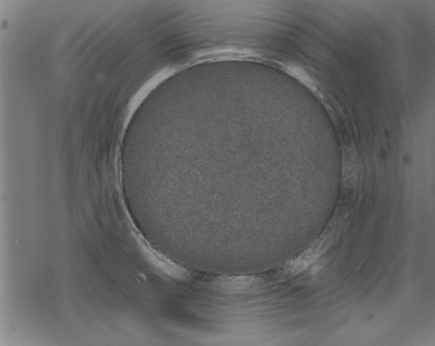 X0000069791474200605221102