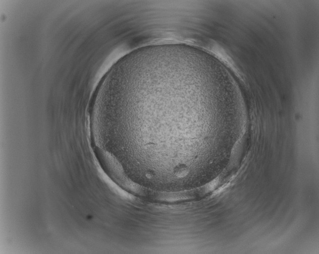 X0000069791476200605221102