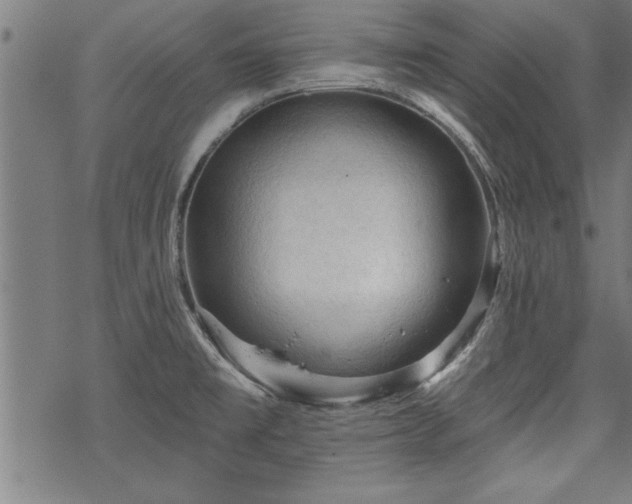 X0000069791477200605221102