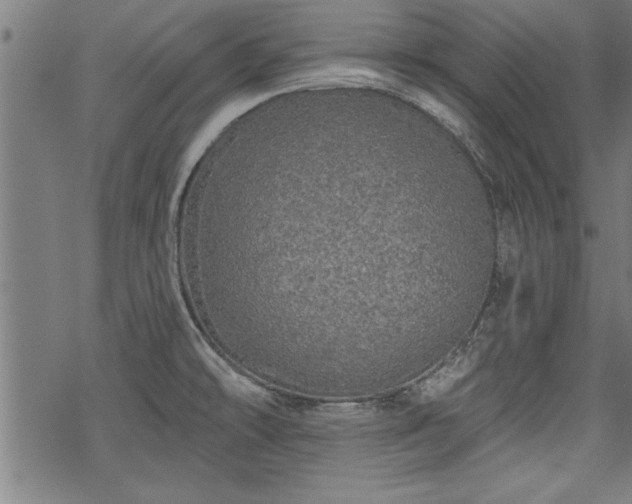 X0000069791478200605221102