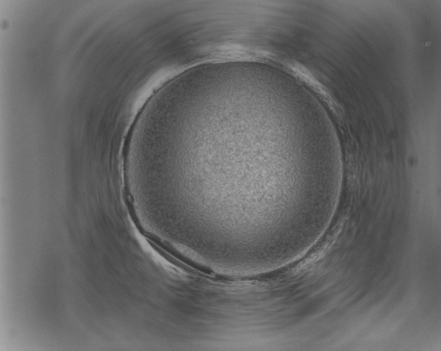 X0000069791479200605221102