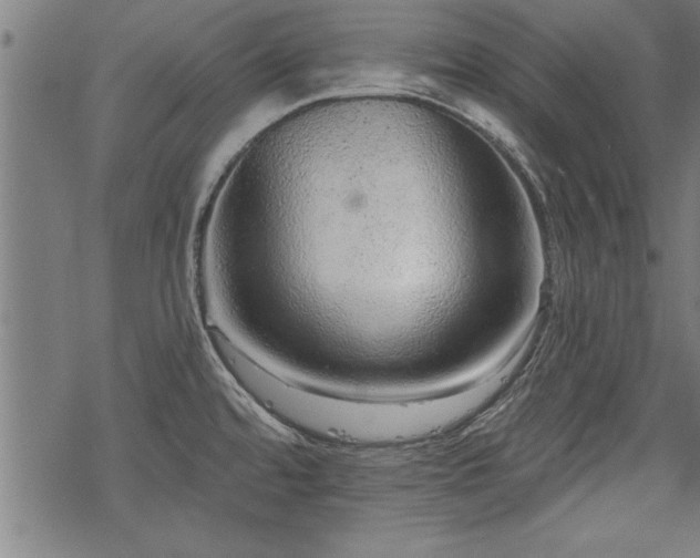 X0000069791480200605221102